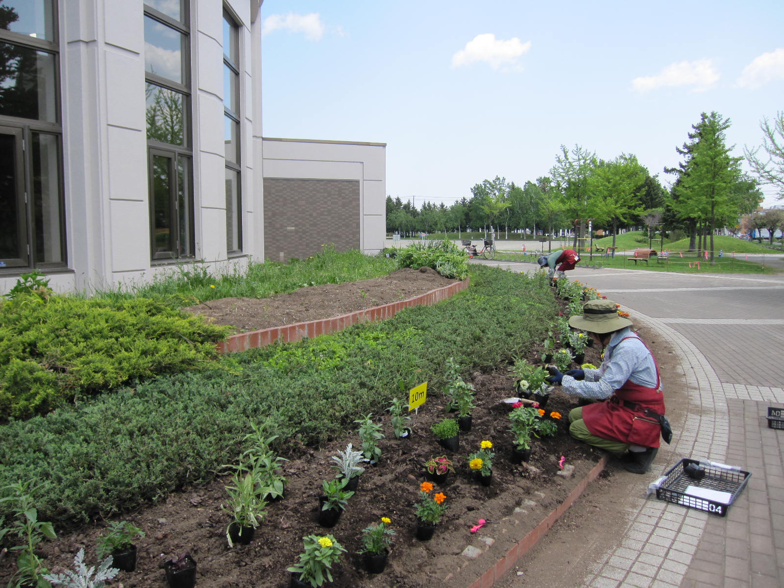 ツインキャップまわりの花壇