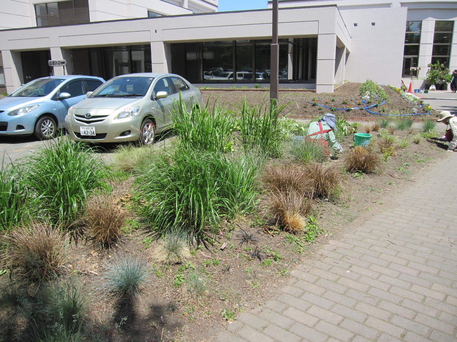 グラスガーデン