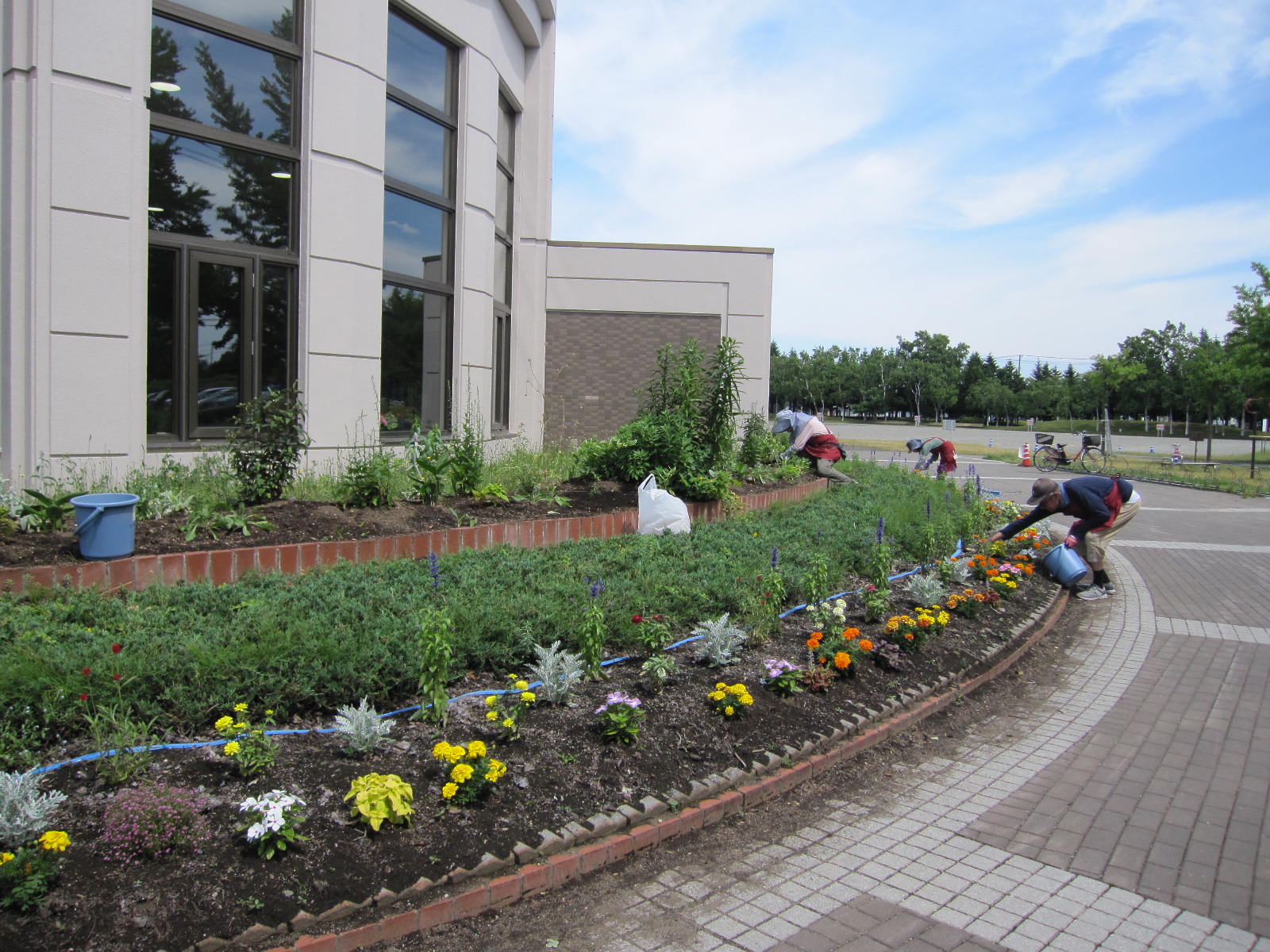 ツインキャップ