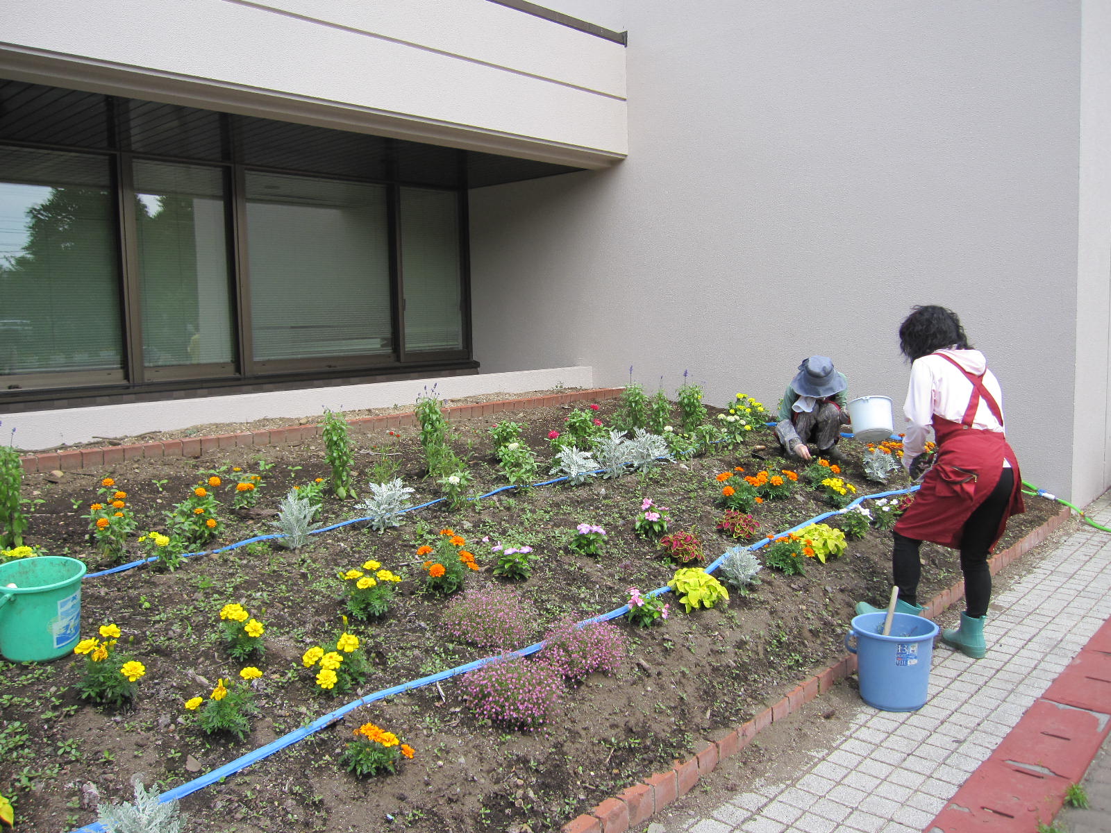 正面玄関の横の花壇