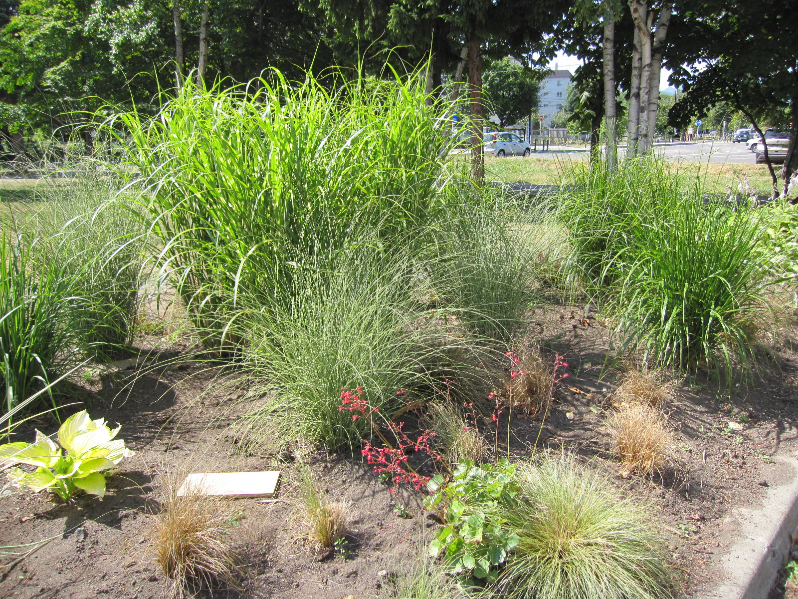 グラスガーデン