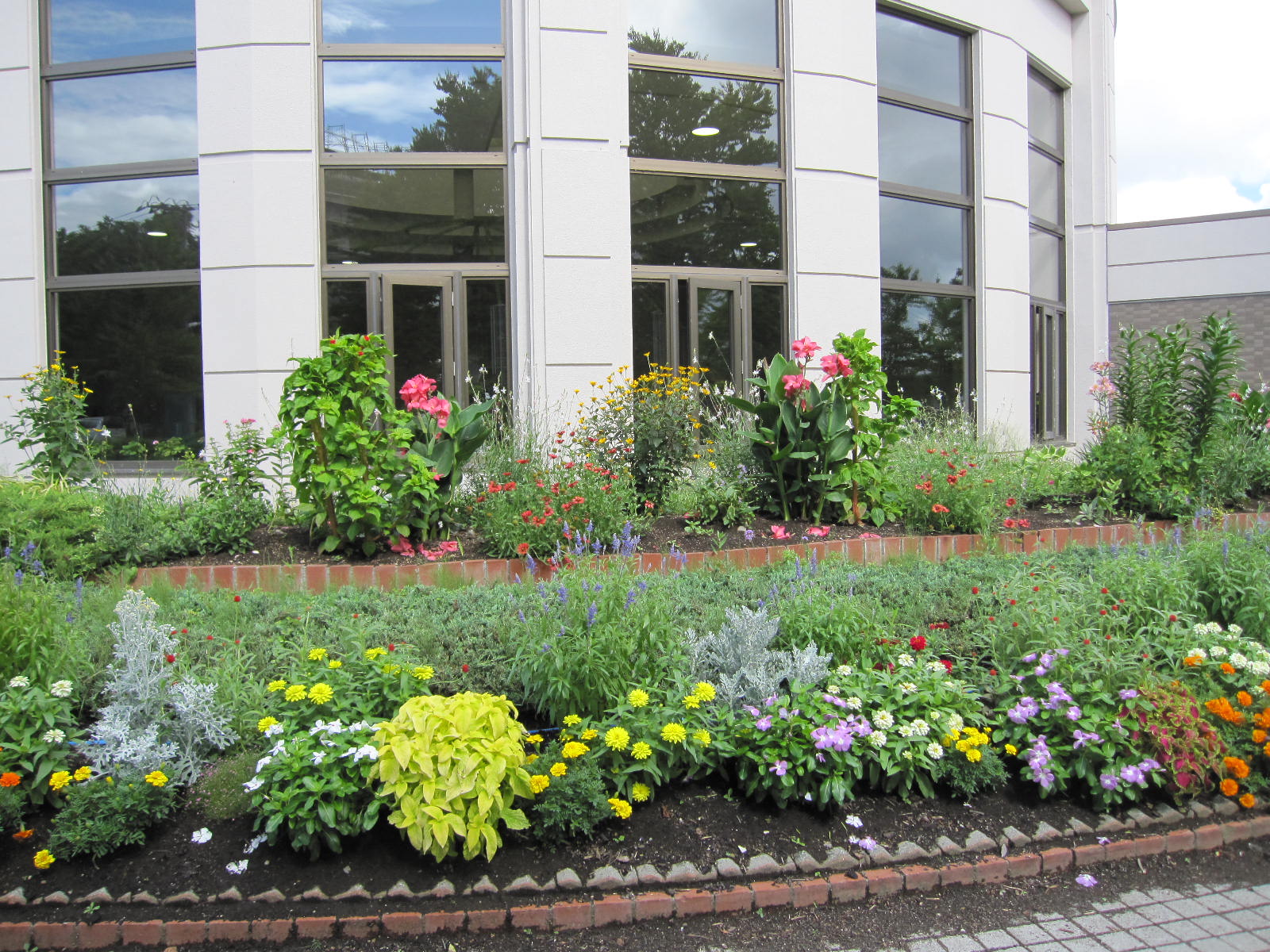 ツインキャップ