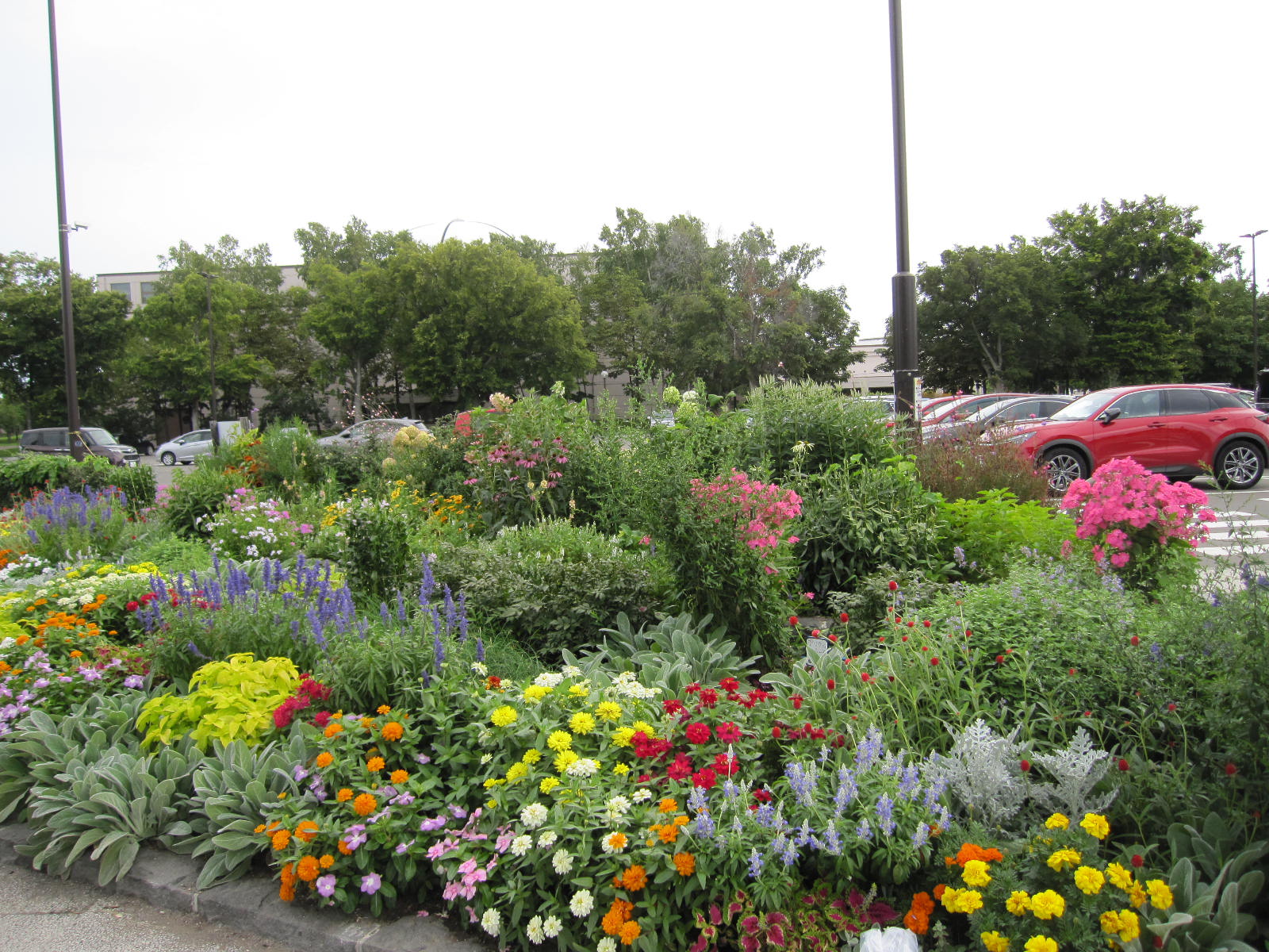 駐車場の花壇