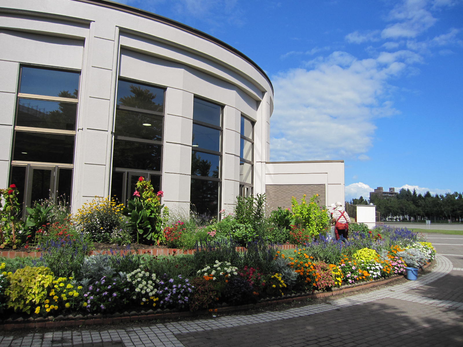 ツインキャップの花壇