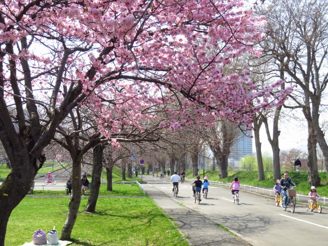 交通コーナー 4/29オープン