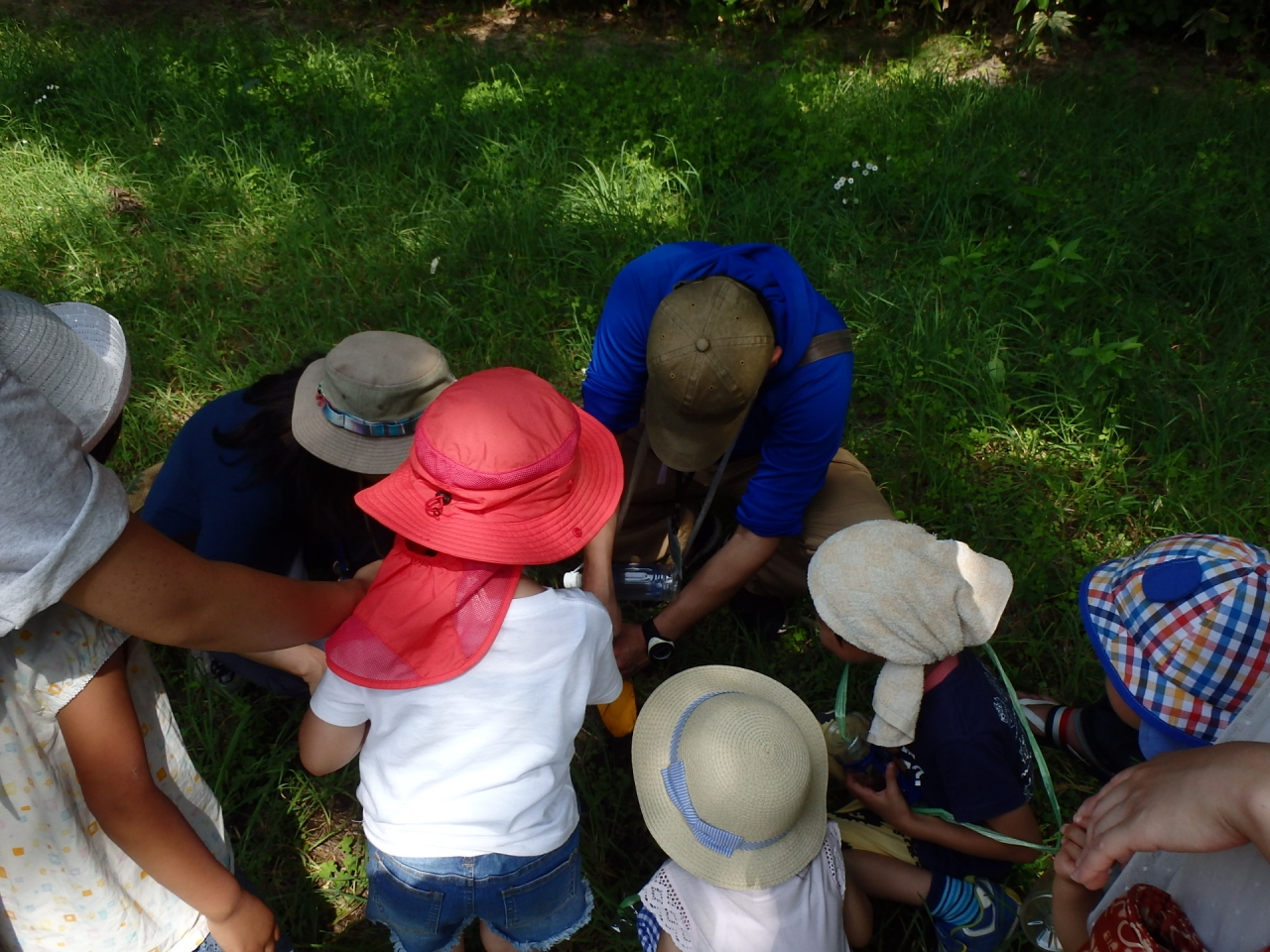土の中の虫を探そう