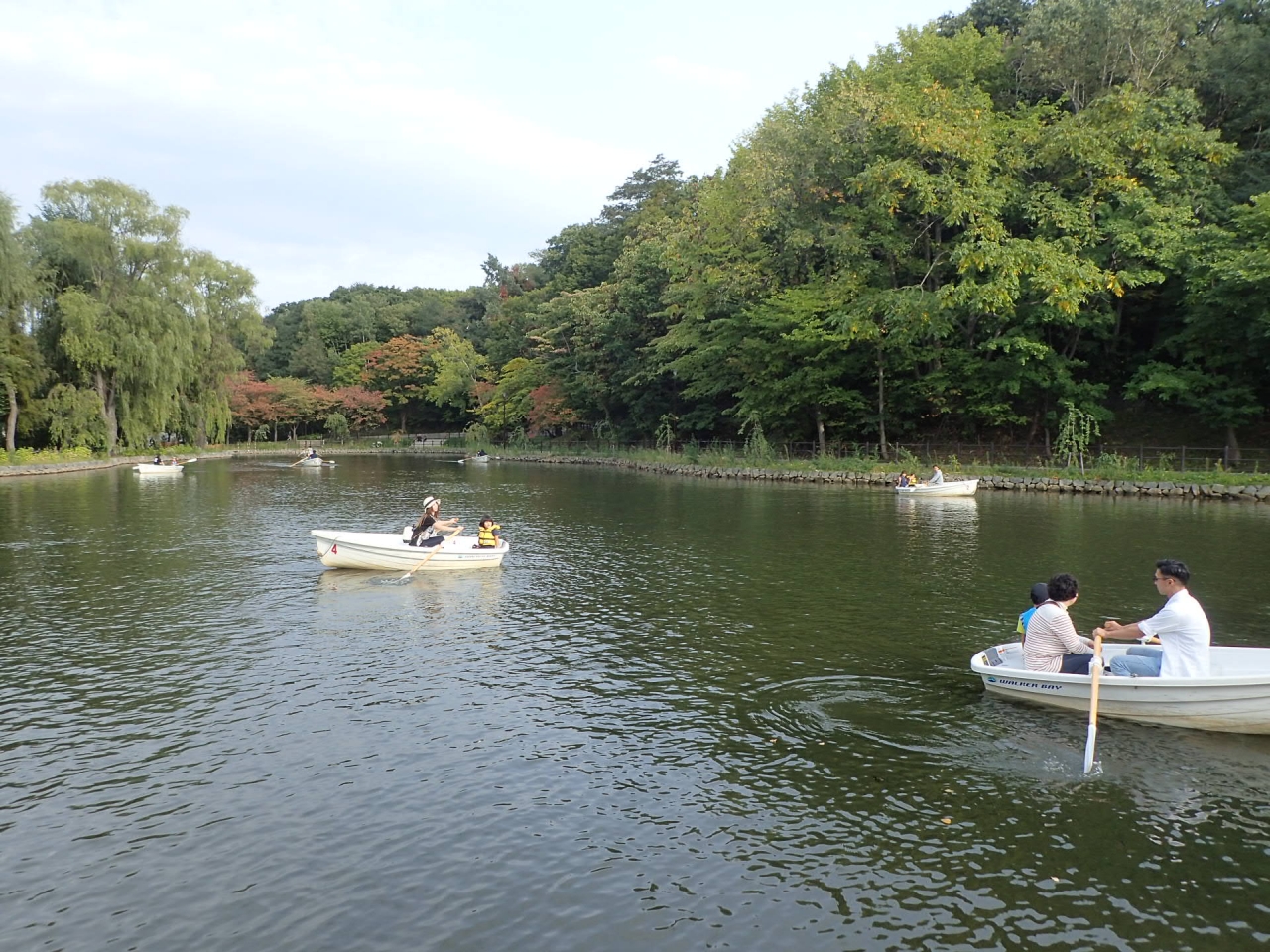 ボート池の様子