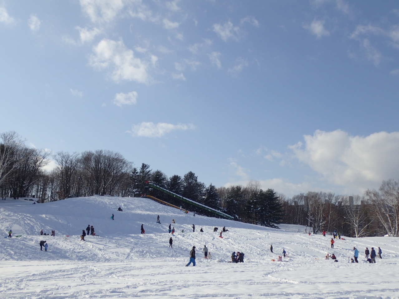 冬の月寒公園をお楽しみください