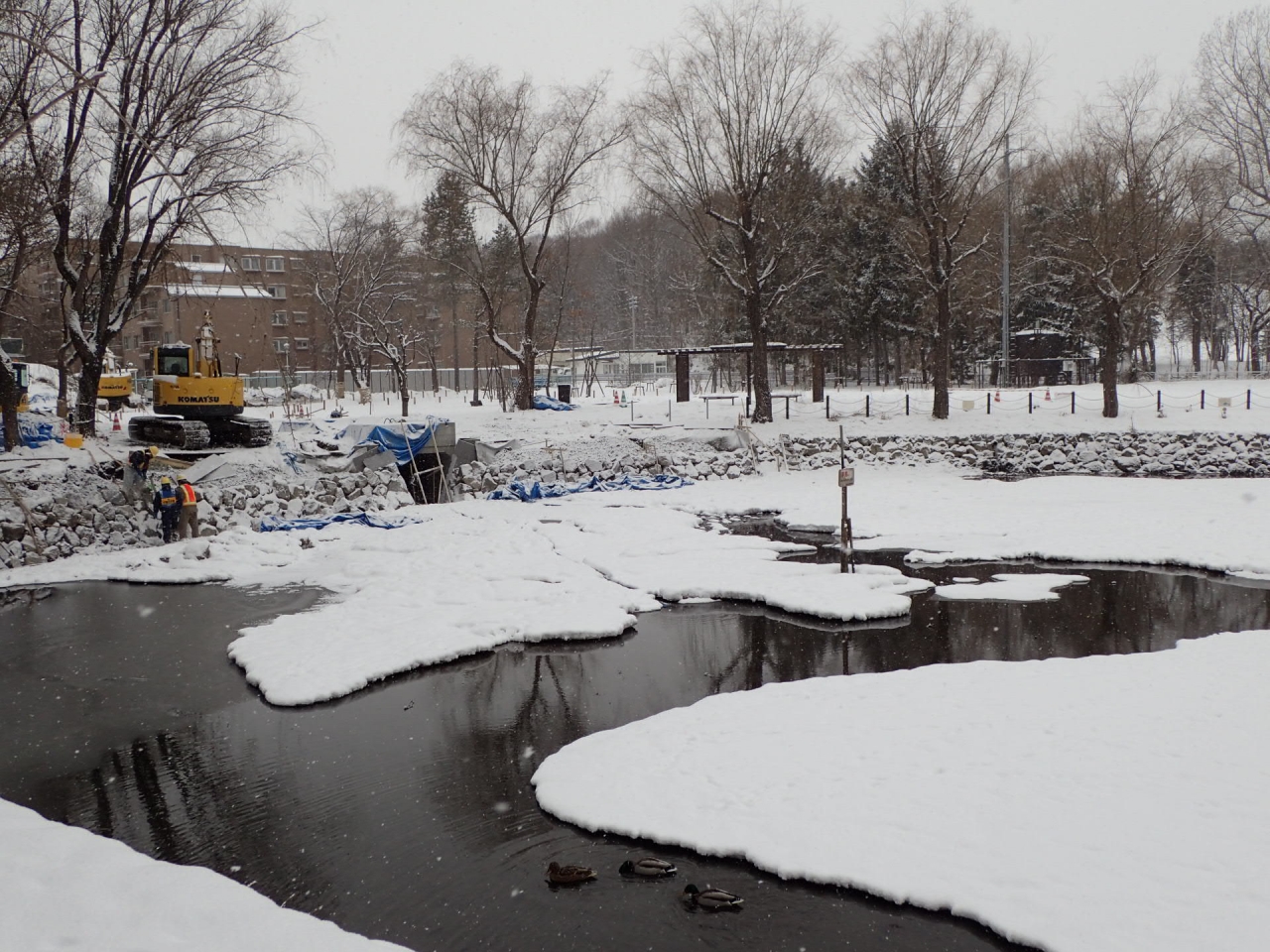 12月26日のボート池