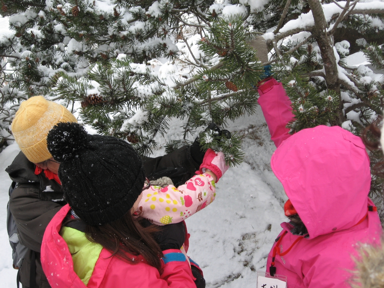 ちびっこ遊び隊2017.12.05-1