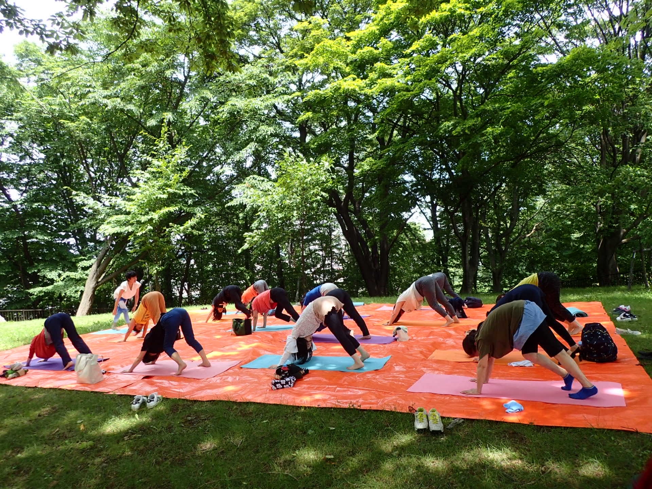 パークヨガ7月12日③