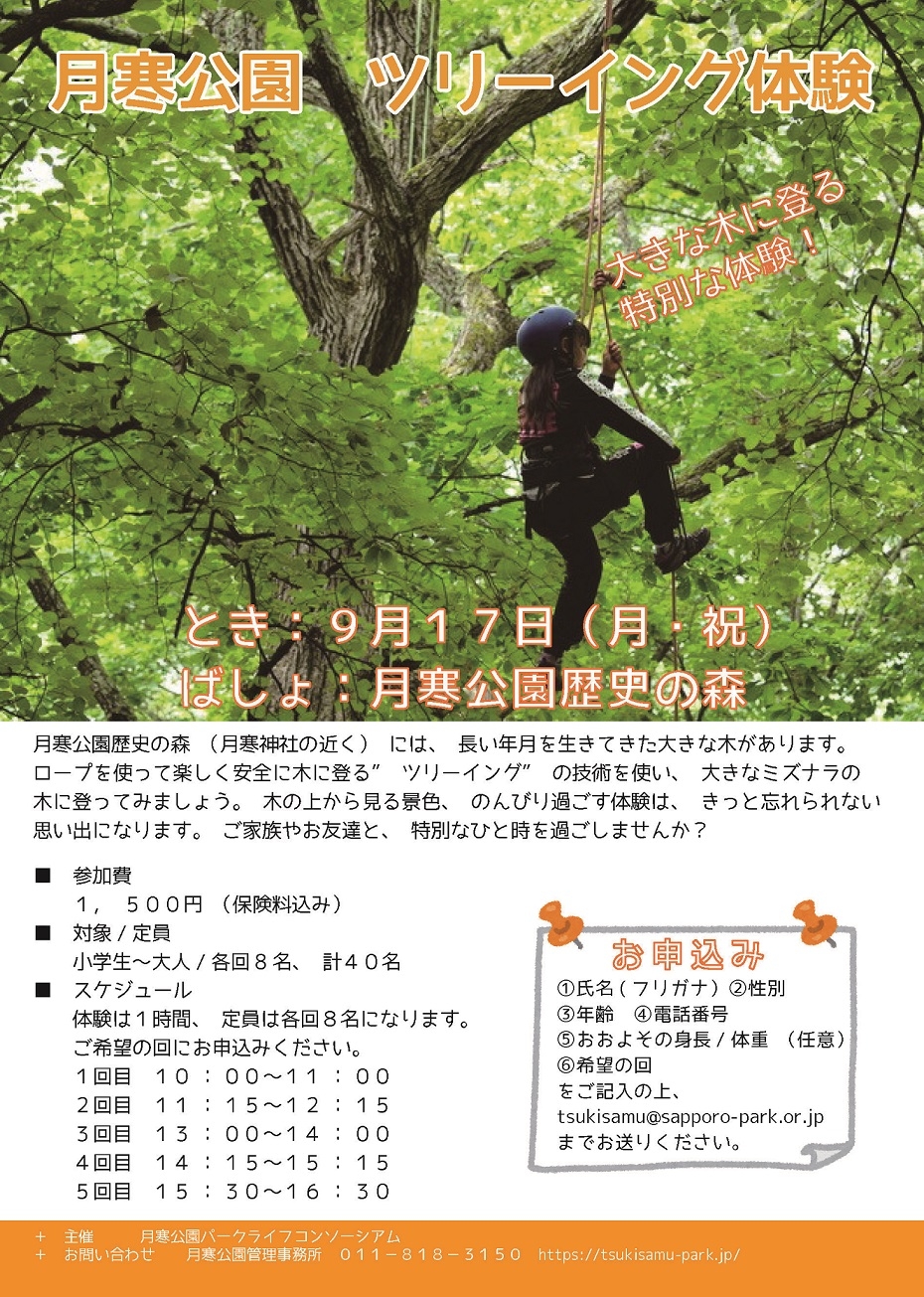 ツリーイングチラシs