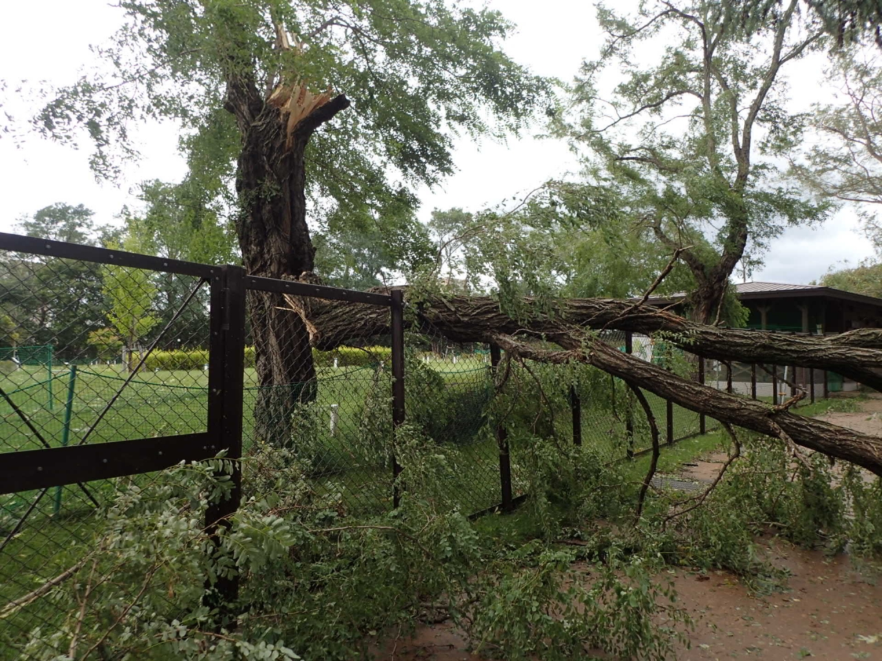 パークゴルフ場 (2)