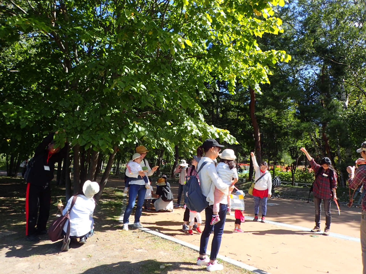 葉っぱのプロペラであそんでみよう！