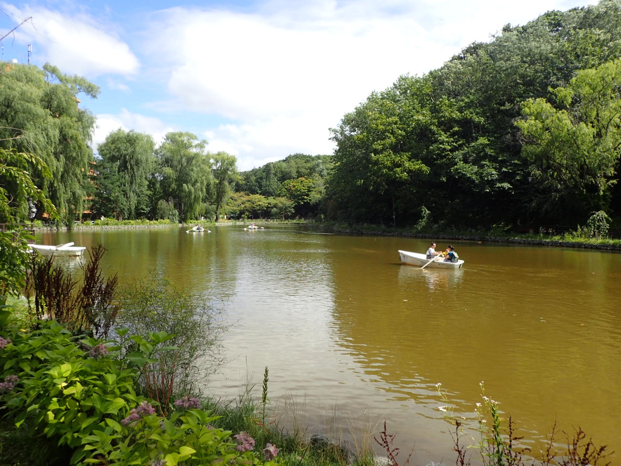 ボート池利用のようす