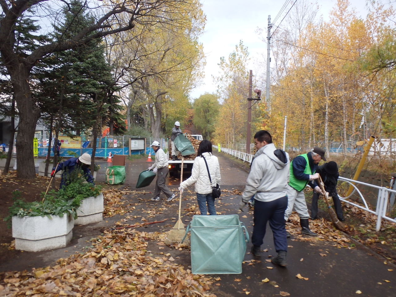公園まわりのおちばかき