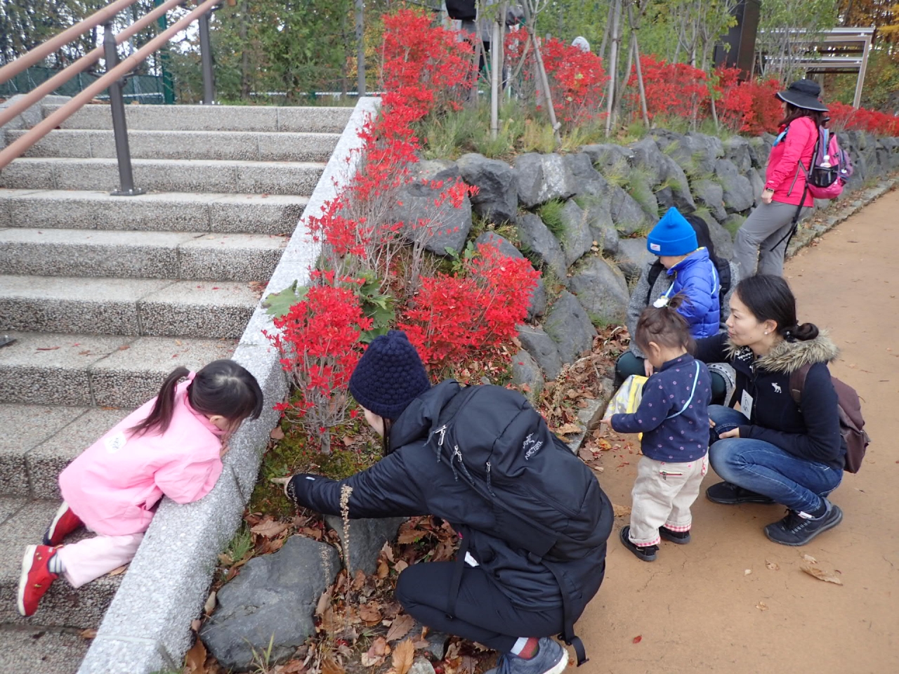 真っ赤なドウダンツツジ