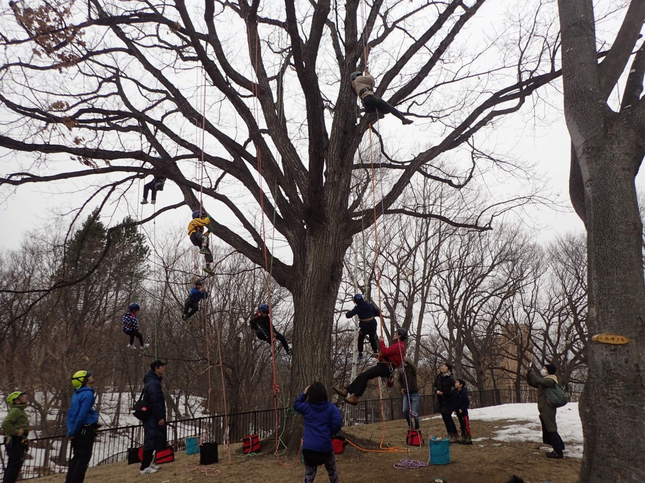 コツを掴んだら楽しくなっていきます