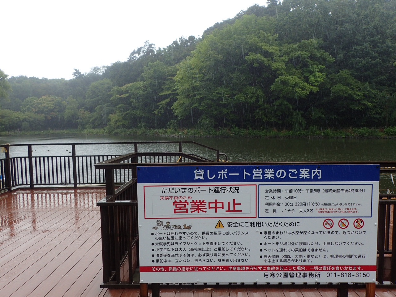 190823雨のボート池