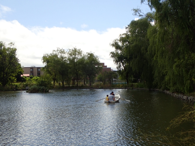 ボート池のようす