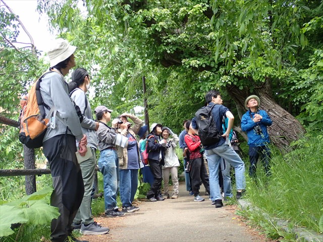 野鳥観察会_R