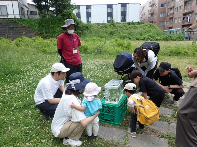 お魚観察_R