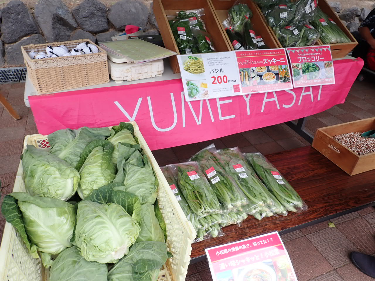 旬の野菜