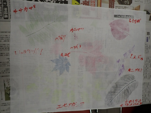 図鑑風スタンプ_R