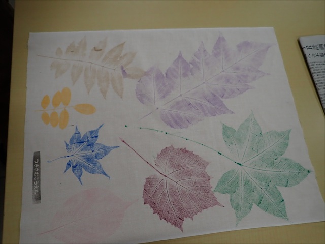 大きな葉っぱときれいな形_R