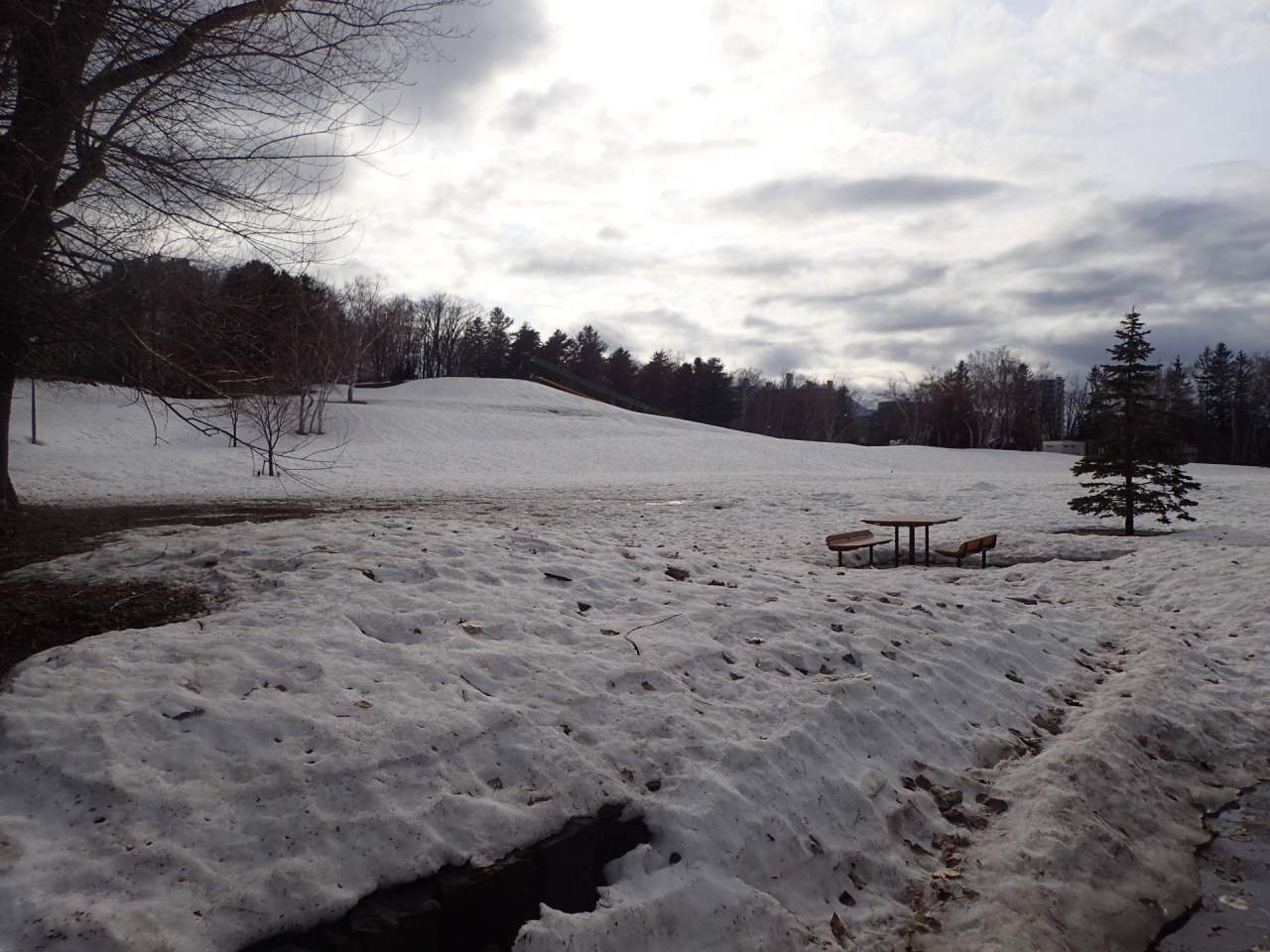 3月27日多目的広場