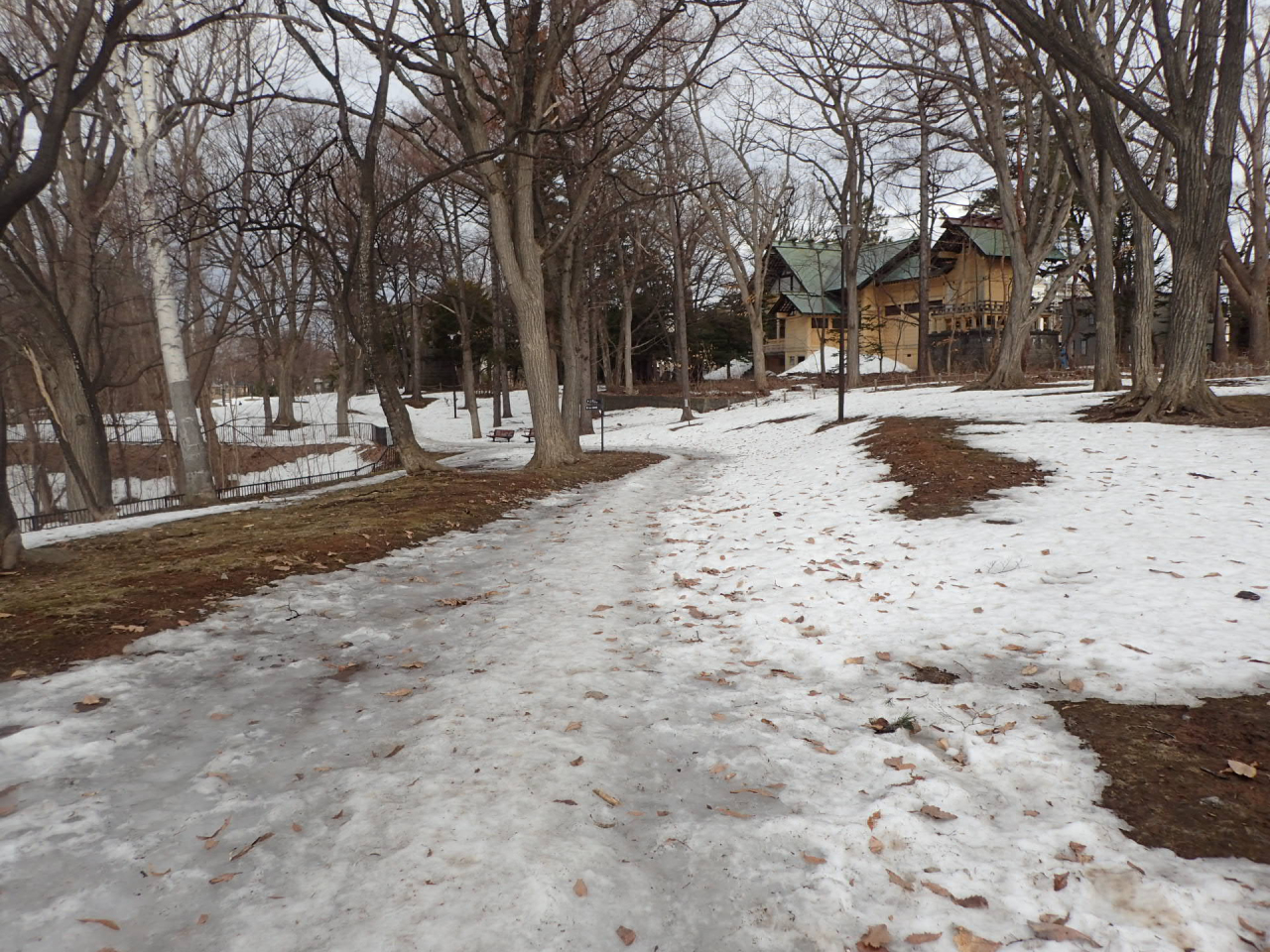 3月27日くつろぎの森
