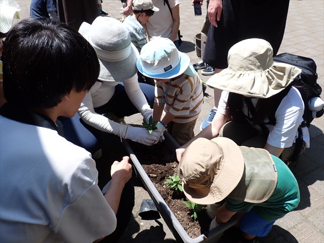 お花を植えて_R
