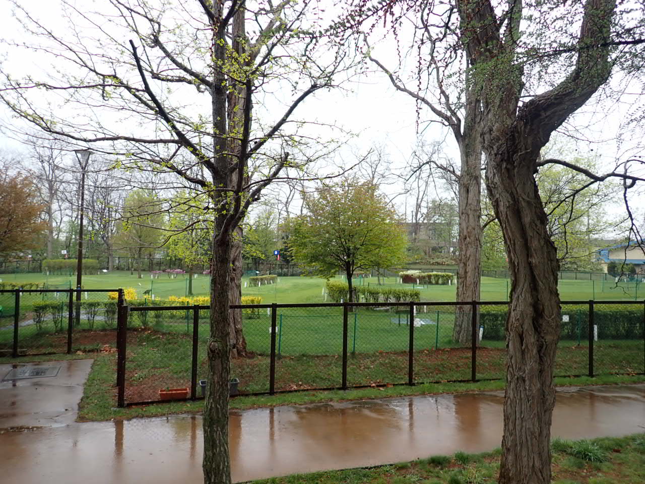 PG雨天