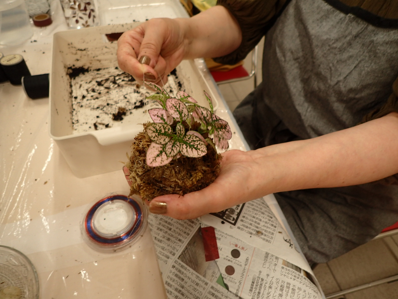 苔玉作るHP