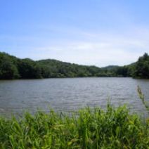 「西岡公園自然情報 2026年6月25日」の写真