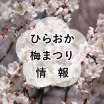 「梅林の様子【5月2日】」の写真