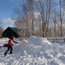 「たきの森フェス準備中!」の写真