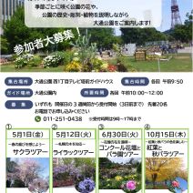 「梅林の様子【4月26日】」の写真