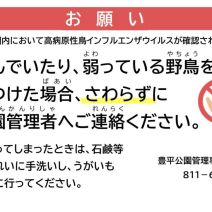 「豊平公園管理事務所から野鳥に関するお知らせ」の写真