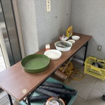「ボランティア活動」の写真