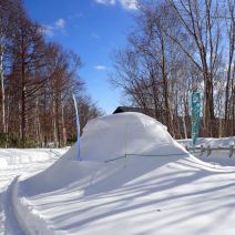 「森フェス準備中!2」の写真