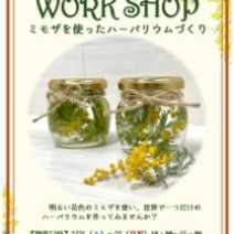 「ミモザの季節のワークショップ、特別開催!(2026年2月20日)」の写真