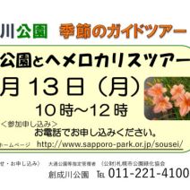 「夏の公園とヘメロカリスガイドツアー開催」の写真