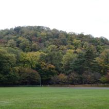 「紅葉情報」の写真