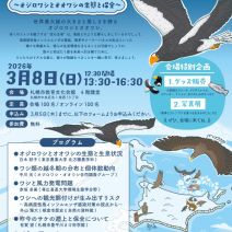 「【フォーラム】北海道の空を舞う美しいワシたち ~オジロワシとオオワシの生態と保全~」の写真