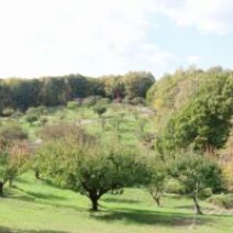 「紅葉と生きもの情報【2026年10月17日】」の写真