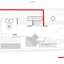 「感謝の気持ちと「ミモザの日」(屋外ではシナマンサクの開花も)2026年3月7日」の写真