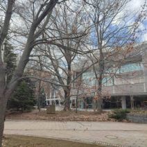 「本日の中島公園」の写真