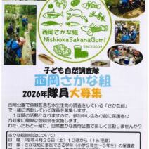 「子ども調査隊「西岡さかな組」隊員大募集中!!」の写真