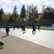 「本日のボランティア活動(バラ)」の写真